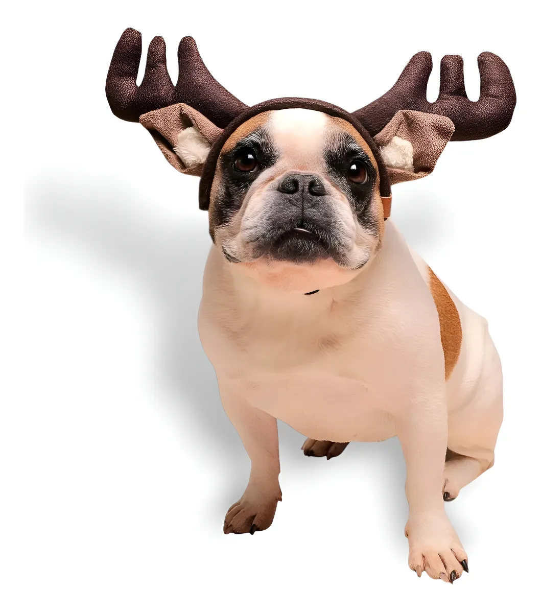 Fantasia Pet Natal Chifre De Rena Marrom Para Cachorro Gato